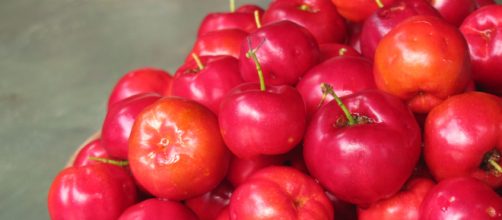 Acerola fortalece imunidade (Reprodu&ccedil;&atilde;o/Pixabay)