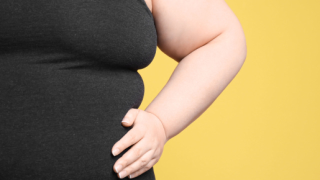 Obesit&agrave; e confezioni alimentari: il problema sono i distruttori obesogeni.