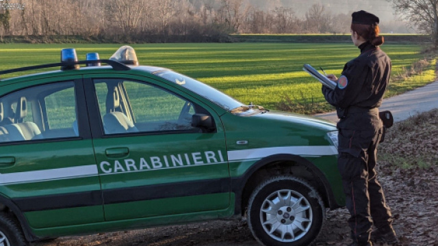 Como: denunciato per procurato allarme, parl&ograve; di aggressione di lupi ma erano cani.
