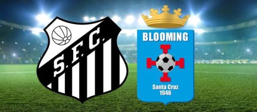 Onde assistir Santos x Blooming ao vivo (Arte/Eduardo Gouvea)