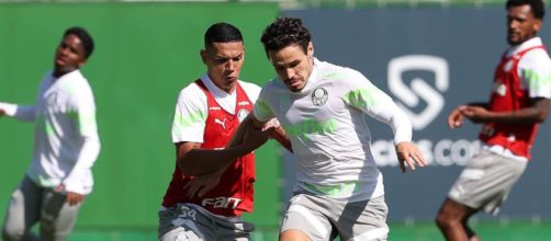 Palmeiras poder&aacute; se classificar nesta rodada (Reprodu&ccedil;&atilde;o/Twitter/@Palmeiras)