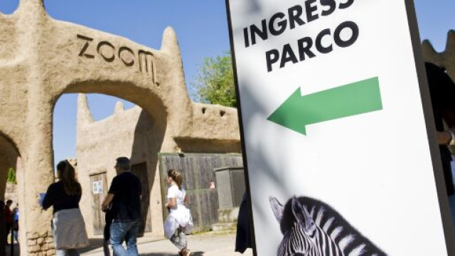 parco Zoom a Torino, Africa safari