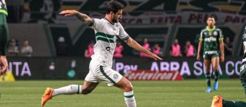 Coxa busca vencer a primeira no Brasileir&atilde;o (Reprodu&ccedil;&atilde;o/Twitter/@Coritiba)