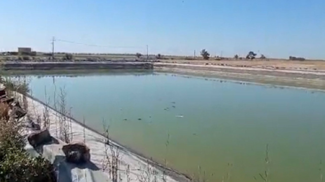 Fratellini morti a Manfredonia, lo zio: 'Sapevano che quel posto era pericoloso'.