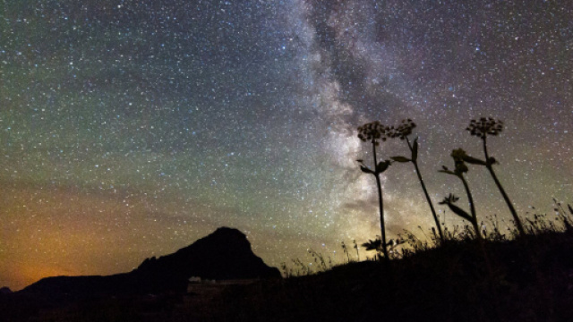 Previsioni astrologiche e classifica del 16 luglio: Leone scoppiettante, Toro sincero.