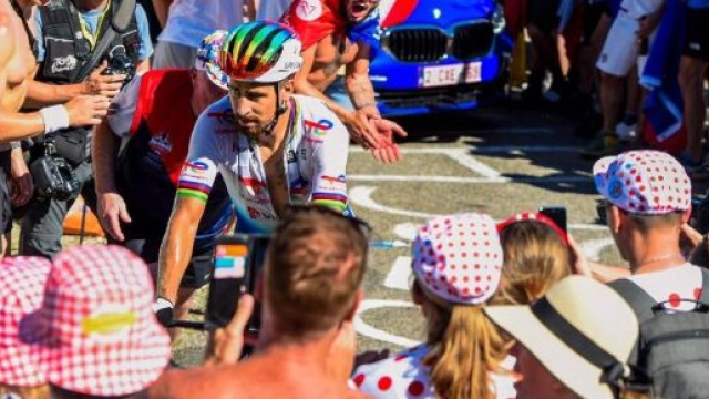 Ciclismo, Peter Sagan impegnato al Tour de France.