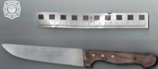 El individuo ha sido arrestado por agentes de la Polic&iacute;a Nacional (Twitter, @Burgos_Gob)