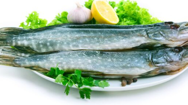 Luccio farcito, una saporita ricetta italiana per un pesce delicato.