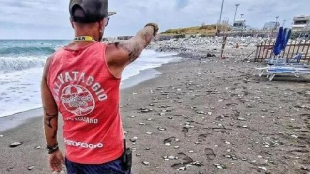 Genova, 19enne ucciso dai datori di lavoro: si voleva licenziare - lastampa.it