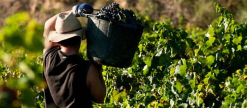 Los sindicatos CC.OO. y UGT han lamentado la muerte del hombre en C&oacute;rdoba (Pixabay)