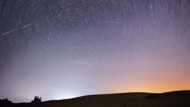 Oroscopo del 13 agosto 2023: Toro equilibrato, Leone grintoso.