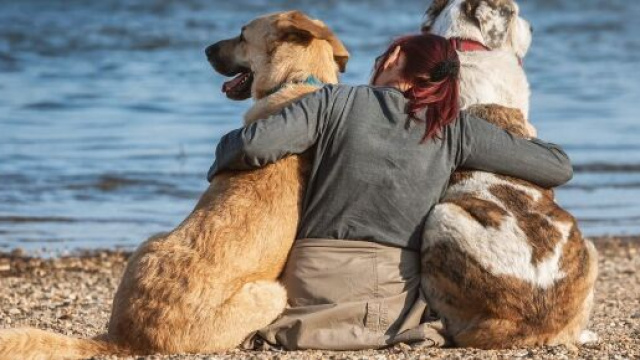 L'oroscopo del 15 agosto per i single: Ferragosto iperattivo per Sagittario.