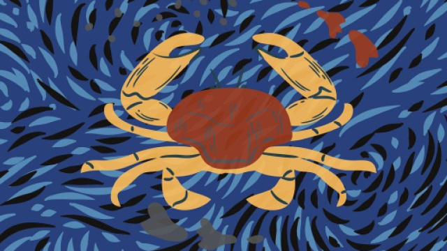 Oroscopo e classifica di venerd&igrave; 18 agosto: Cancro affaticato, Toro coraggioso.