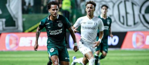 Goi&aacute;s e Gr&ecirc;mio ficaram no empate (Reprodu&ccedil;&atilde;o/Facebook/goiasoficial)