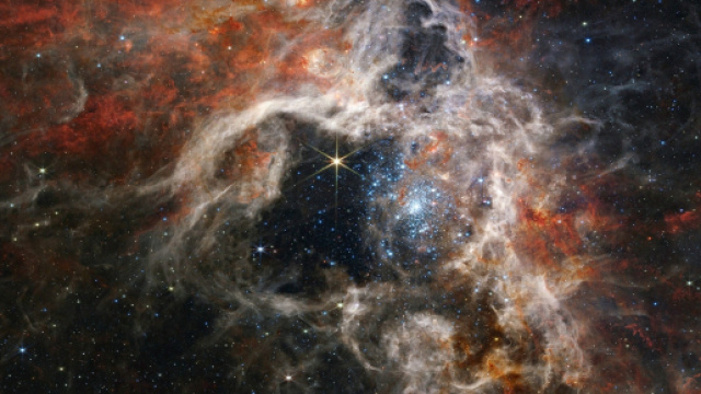 Oroscopo con classifica del 21/08: Toro innamorato, Cancro riservato.