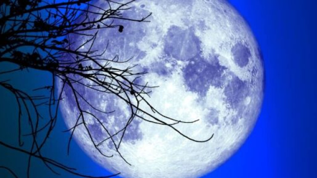 Previsioni zodiacali Superluna 31 agosto: buone notizie per relazioni amorose del Toro.