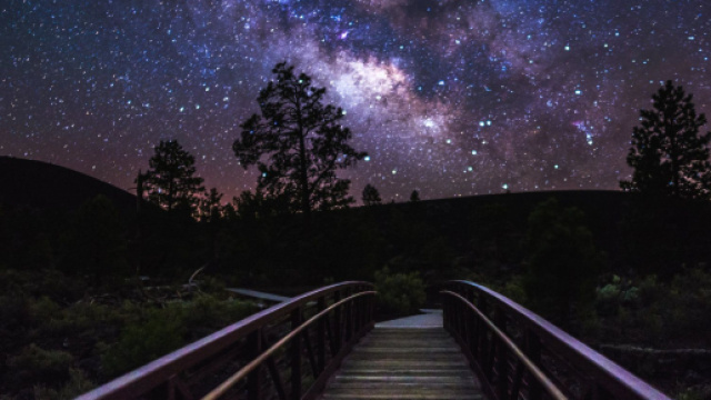 Oroscopo della settimana dal 28/08 al 3/09: energie dell'amore ed emozioni per Leone.