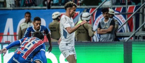 Bitello em a&ccedil;&atilde;o com a camisa gremista (Reprodu&ccedil;&atilde;o/Instagram/@bitello_00)