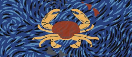 C&acirc;ncer: previs&otilde;es do zod&iacute;aco para o dia 31 de agosto de 2023 (Reprodu&ccedil;&atilde;o/Pixabay)