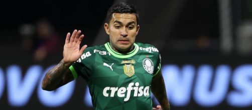 Dudu em a&ccedil;&atilde;o com a camisa do Palmeiras (Cesar Greco/Palmeiras)