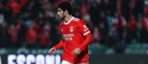 Gonçalo Guedes (Reprodu&ccedil;&atilde;o/Instagram/@goncaloguedes17)