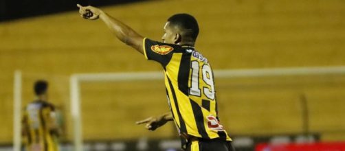 Tigre voltou a ficar entre os quatro melhores (Reprodu&ccedil;&atilde;o/Facebook/oficialnovorizontino)