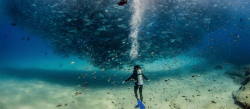 "Nosso Planeta" traz imagens incr&iacute;veis da natureza (Divulga&ccedil;&atilde;o/Netflix)