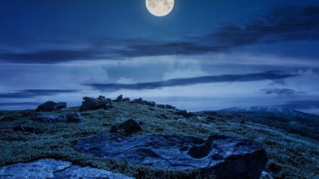 Oroscopo 8 agosto 2023: la giornata.