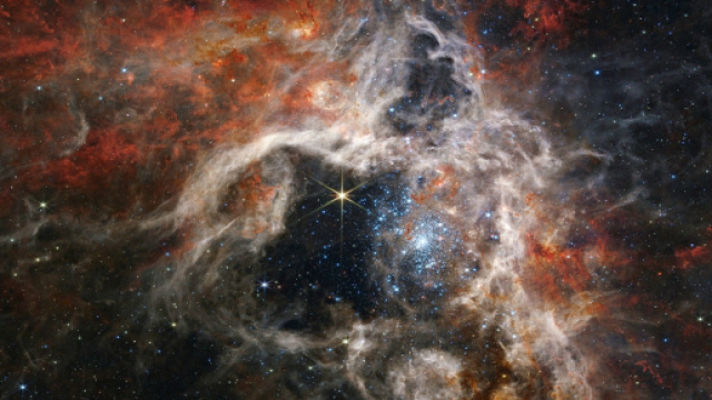 Oroscopo e classifica dell'8 agosto: Leone gentile, Sagittario trionfa.