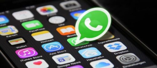 WhatsApp lan&ccedil;a novo recurso (Reprodu&ccedil;&atilde;o/Pixabay)