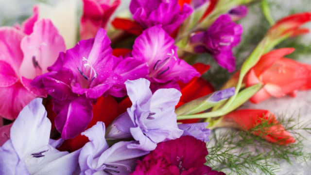 L'oroscopo e classifica di gioved&igrave; 14 settembre, amore: Scorpione in cima.