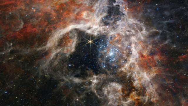 Oroscopo con classifica del 14 settembre: Vergine fortunata e Scorpione attivo.