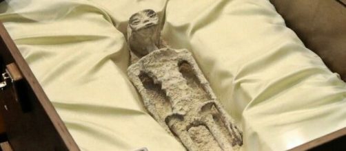 Jaime Maussan muestra dos supuestos extraterrestres (C&aacute;mara Diputados M&eacute;xico)