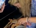 Una mujer compra una langosta de 200 euros en un restaurante y la devuelve al mar (Video)