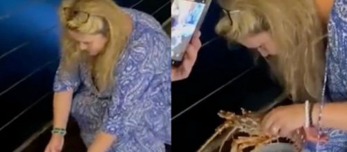 La turista le susurr&oacute; algo a la langosta antes de lanzarla al mar en Italia (X, @wallstwolverine)