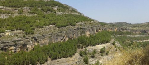 El cad&aacute;ver ha sido encontrado este s&aacute;bado (X, @Antonyggs)