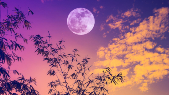 L'oroscopo di domani 3 ottobre: Luna 'sposa' Gemelli, Vergine in recupero (1^ met&agrave;).