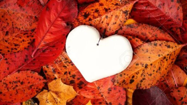 L'oroscopo della settimana dal 1 all'8 ottobre: il Toro approfondir&agrave; i legami e amicizie