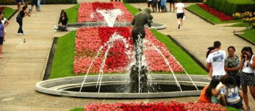 Flores do Jardim Bot&acirc;nico de Curitiba (Faestorilio/Wikimedia Commons)