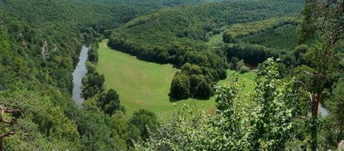 Parque nacional Podyj&iacute; (Martin Vavř&iacute;k/Wikimedia Commons)
