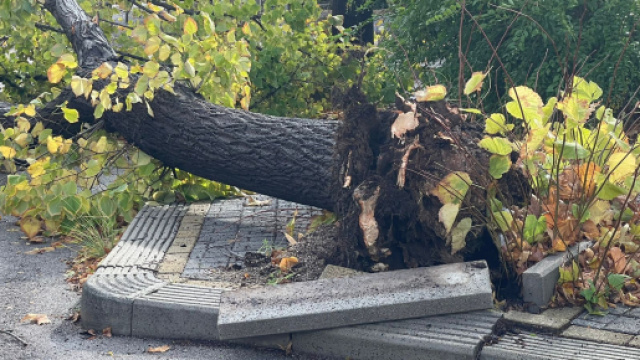 Ondata di maltempo in Sicilia orientale, allagamenti ed emergenza nel comune di Giarre.