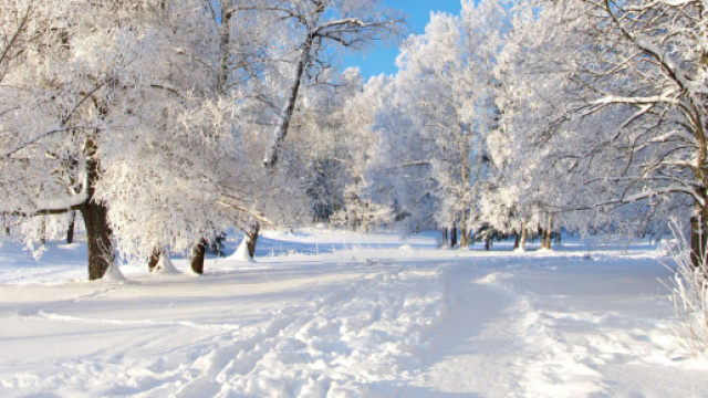 L'oroscopo del 12 gennaio 2024.