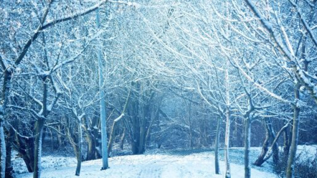 L'oroscopo della settimana dal 15 al 21 gennaio: opportunit&agrave; di carriera per il Sagittario