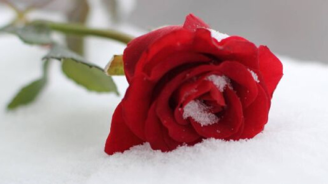 Oroscopo e classifica di mercoled&igrave; 17 gennaio.