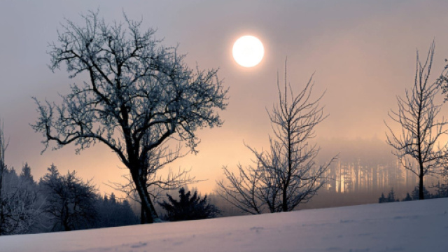 L' oroscopo di mercoled&igrave; 24 gennaio 2024