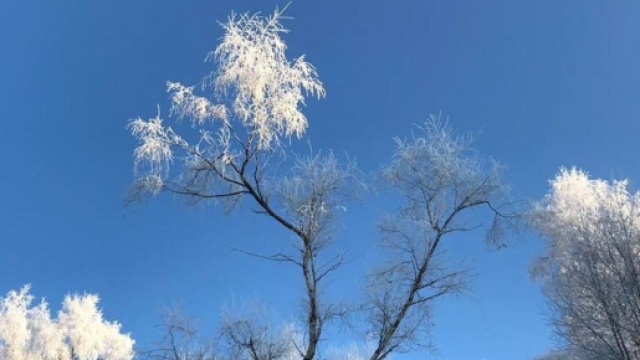 L'oroscopo della settimana dal 29 gennaio al 4 febbraio: esami e sfide per Scorpione.