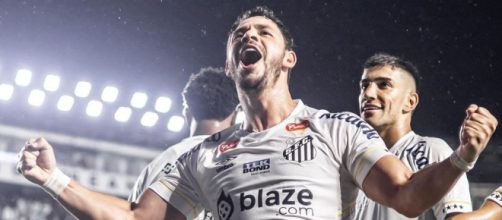 Santos &eacute; o &uacute;nico 100% no Paulista (Reprodu&ccedil;&atilde;o/Facebook/SantosFC)