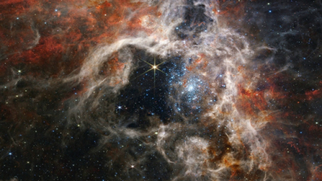 Previsioni astrologiche e classifica del 27 gennaio: Leone energico.