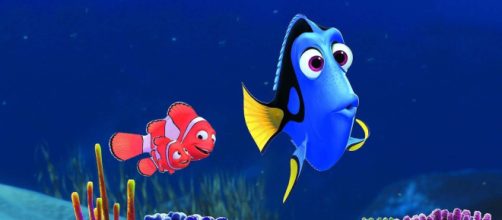 'Procurando Nemo' &eacute; uma das sugest&otilde;es (Divulga&ccedil;&atilde;o/Disney)