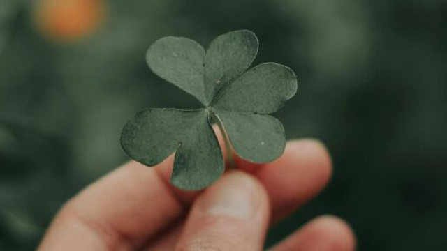 Mano che tiene un quadrifoglio- &copy;Pexels.